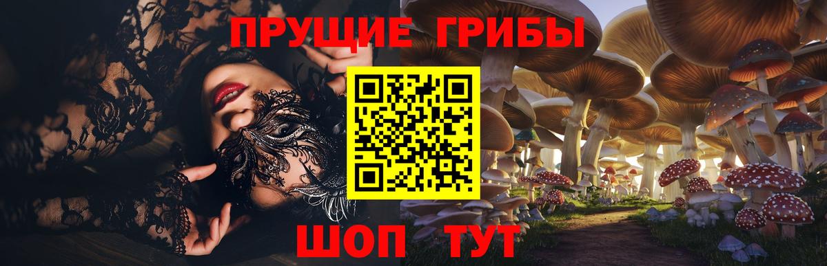 дарнет шоп  Псилоцибиновые грибы Cubensis  Лобня  Вход с VPN  Псилоцибиновые грибы MAGIC MUSHROOMS 